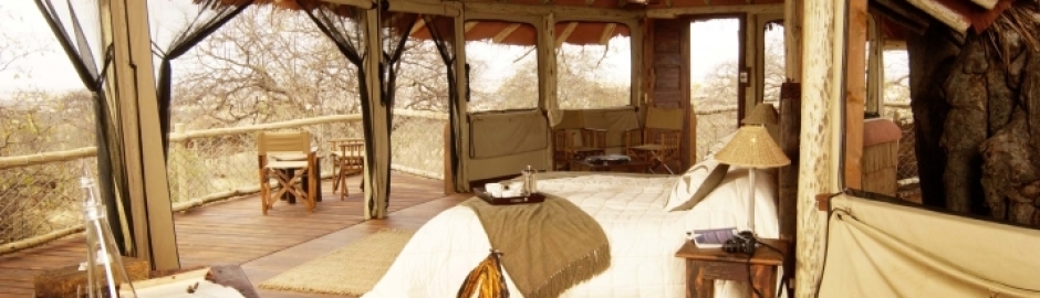 Tarangire Treetops Room on a Tarangire National Park Safari in Tanzania