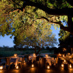 South Africa Safari at Lion Sands Ivory Lodge in Kruger National Park