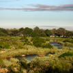 Kruger Safari at Lions Sands River Lodge