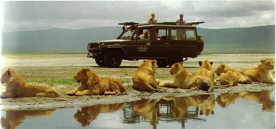 Africa Experiences |Masai Mara Luxury Safari