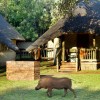 Chobe Safari in Botswana from Chobe Safari Lodge