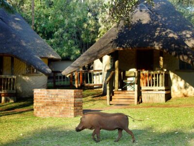 Chobe Safari in Botswana from Chobe Safari Lodge