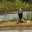 Safari In Zambia and Victoria Falls