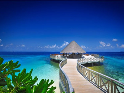 Honeymoon in Maldives |Exotic world Holidays