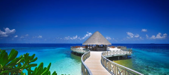 Honeymoon in Maldives |Exotic world Holidays