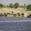 Botswana Safari Focus