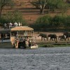 Botswana Safari