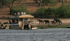 Botswana Safari