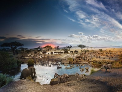 Day to Night - Serengeti