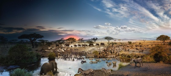 Day to Night - Serengeti