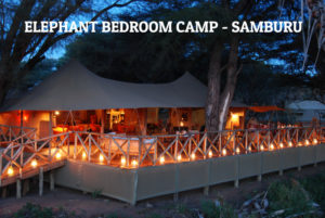 Safari Special Offers