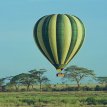 Tanzania Simba Safari