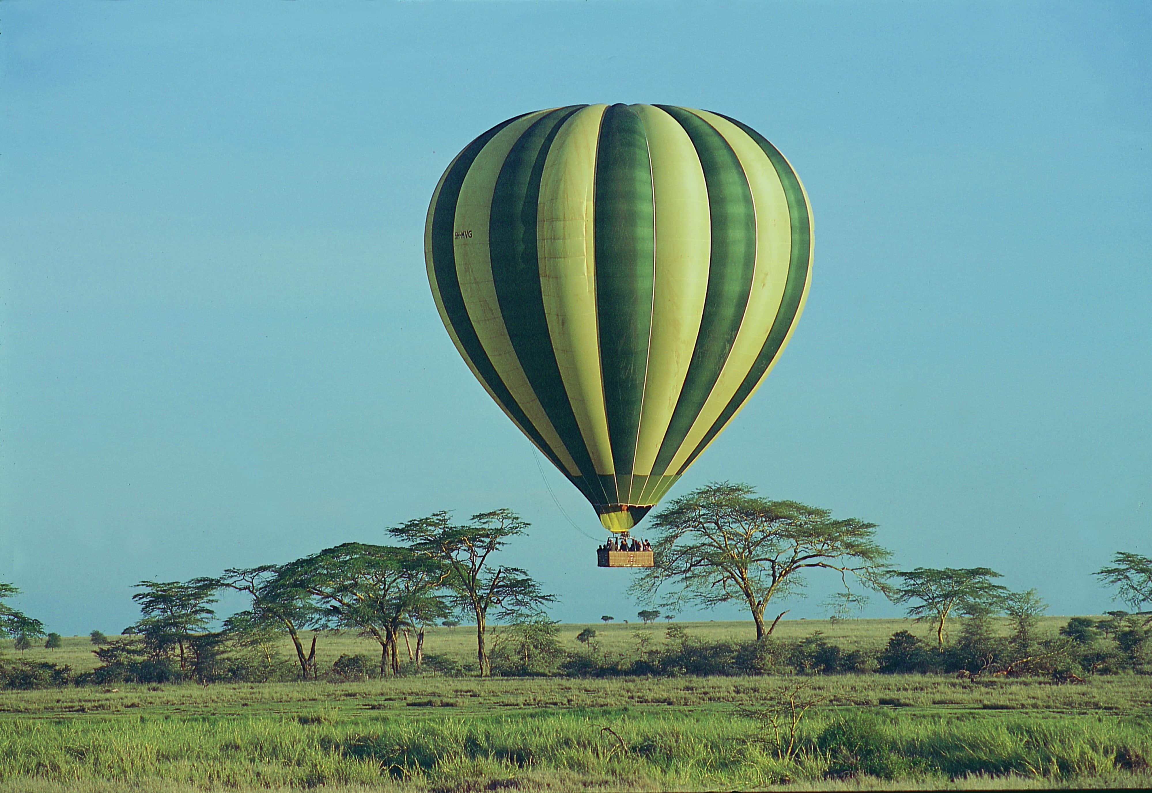 Serengeti Balloon Safari