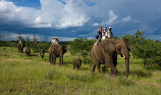 Ilala Lodge Elephant Safari