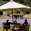 Karen-Blixen-Camp-Safari-in-Masai-Mara-wildlife