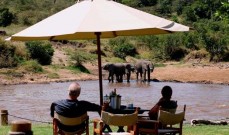 Karen-Blixen-Camp-Safari-in-Masai-Mara-wildlife