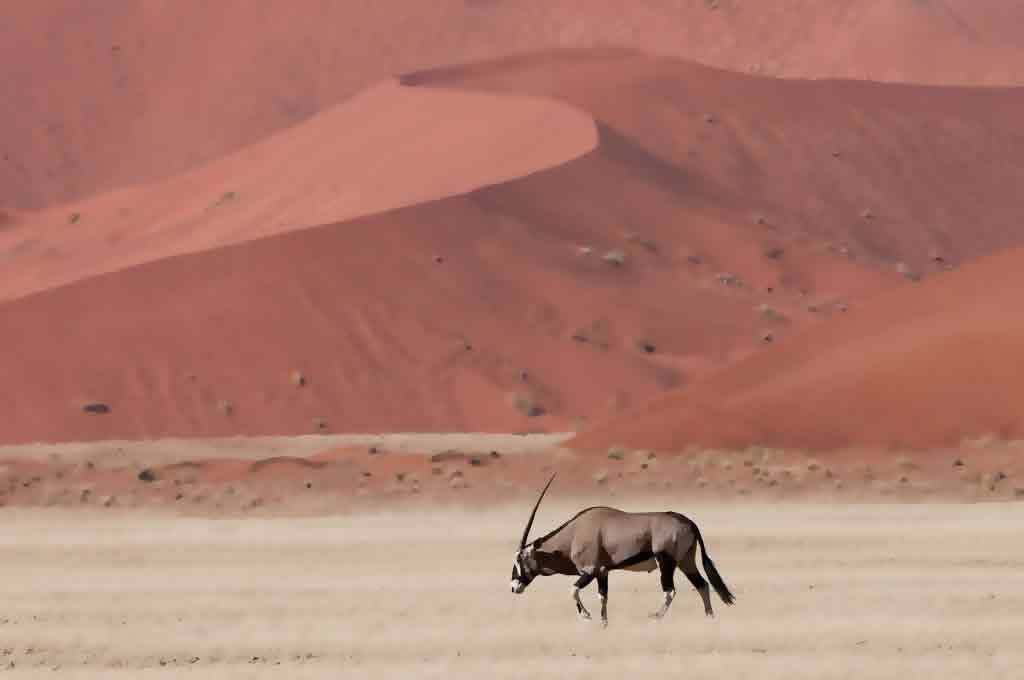 Namibia Highlights Safari