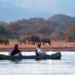 Short Tanzania Safari Tours