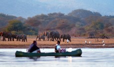 Short Tanzania Safari Tours