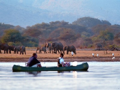 Short Tanzania Safari Tours