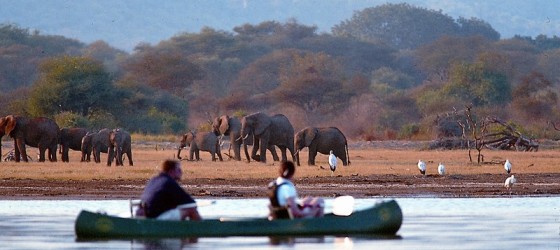 Short Tanzania Safari Tours