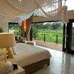 Safari Special Offers