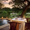 Safari Special Offers