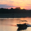 Zambia Safari