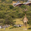 Mahali Mzuri Deluxe Camp Masai Mara Wild animals