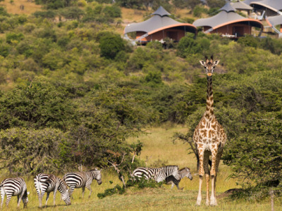 Mahali Mzuri Deluxe Camp Masai Mara Wild animals