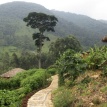 Mahogany Springs Lodge view of Bwindi Forest