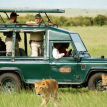 Mara Explorer Game Drive on a Safari in Kenya