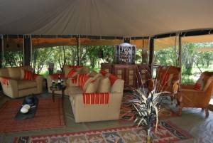 Safari Special Offers