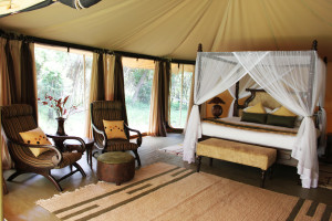 Safari Special Offers