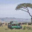 Kenya Safari at Mara Serena Lodge