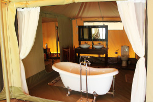 Safari Special Offers