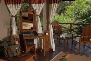 Safari Special Offers