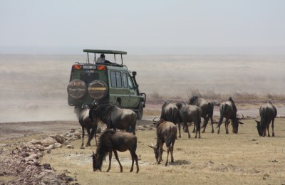 Safari game drive in Kenya and Tanzania