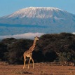 Mount Kilimanjaro Climb