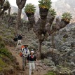 Mount Kilimanjaro Climb en-route view