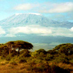 Mount Kilimanjaro View