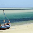 Safari and Beach