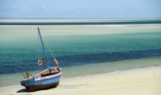 Safari and Beach