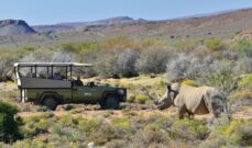 South Africa Safari 10 Nights