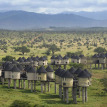 Salt Lick Lodge Kenya