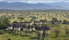 Salt Lick Lodge Kenya