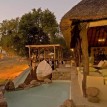 Safari in Zambia and Victoria Falls