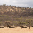 Serengeti-Kati-Kati-View