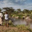 Elewana Serengeti Migration Camp