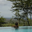 Serengeti Serena Pool